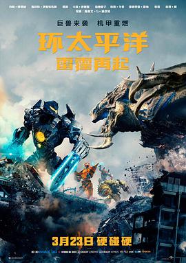 阿甘正传 电影 1994 罗伯特·泽米吉斯